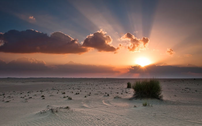 کویر کویر