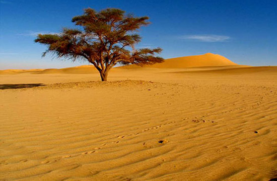 کویر کویر